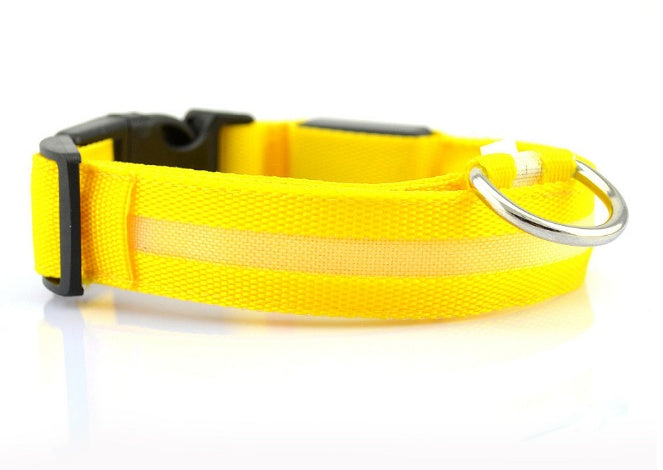 LED Dog Safety Collar — Keep Your Dog Visible at Night