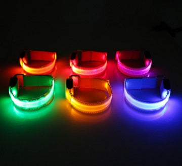 LED Dog Safety Collar — Keep Your Dog Visible at Night